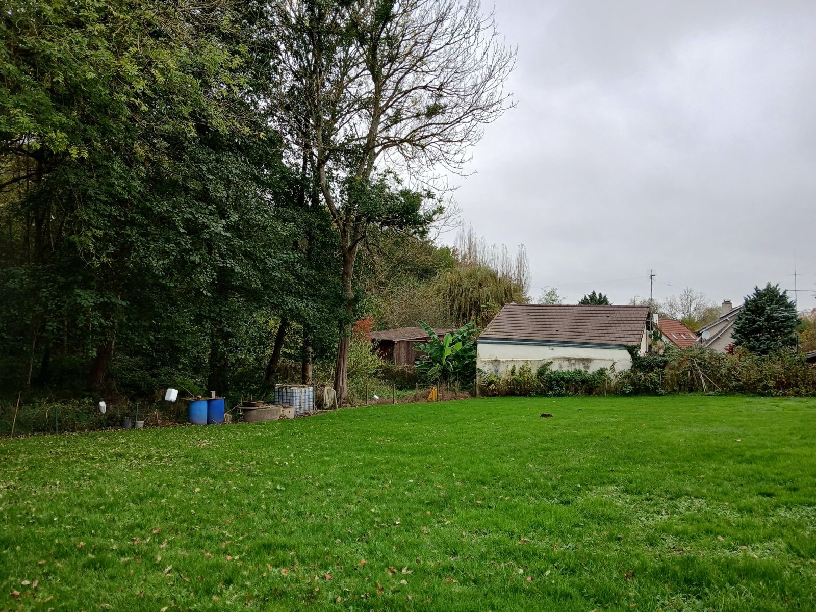Construction d'une maison neuve à Galluis dans les Yvelines - terrain à bâtir entouré d'arbres